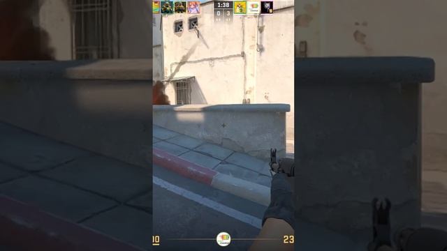 Zeus24122704