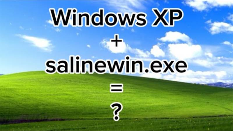 Тестирование вируса salinewin.exe на Windows xp.