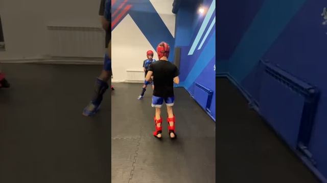 VID-20241227-WA0093.mp4 декабрь 24г