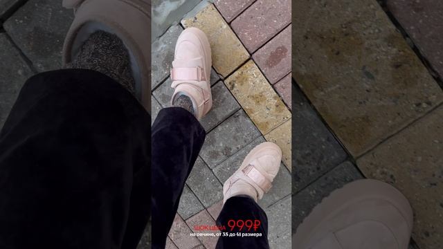 724af616d03c402084539927bba01b93