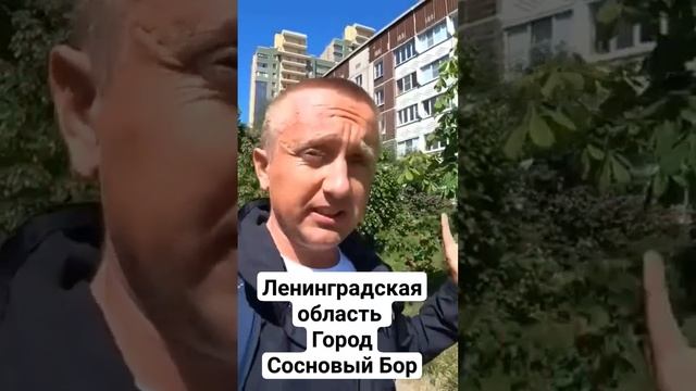 Аренда квартиры в Ленинградской области