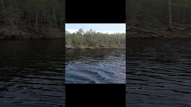 1000017086.mp4
