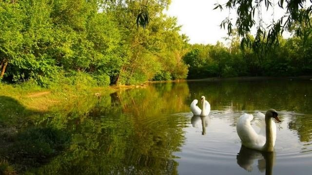 МАНТРА УВЕРЕННОСТИ В СЕБЕ.
