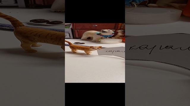 Мои коты воители 1
