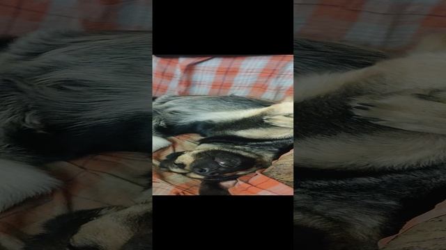 VID20220602033907.mp4