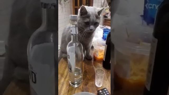 Не пить!!!!
