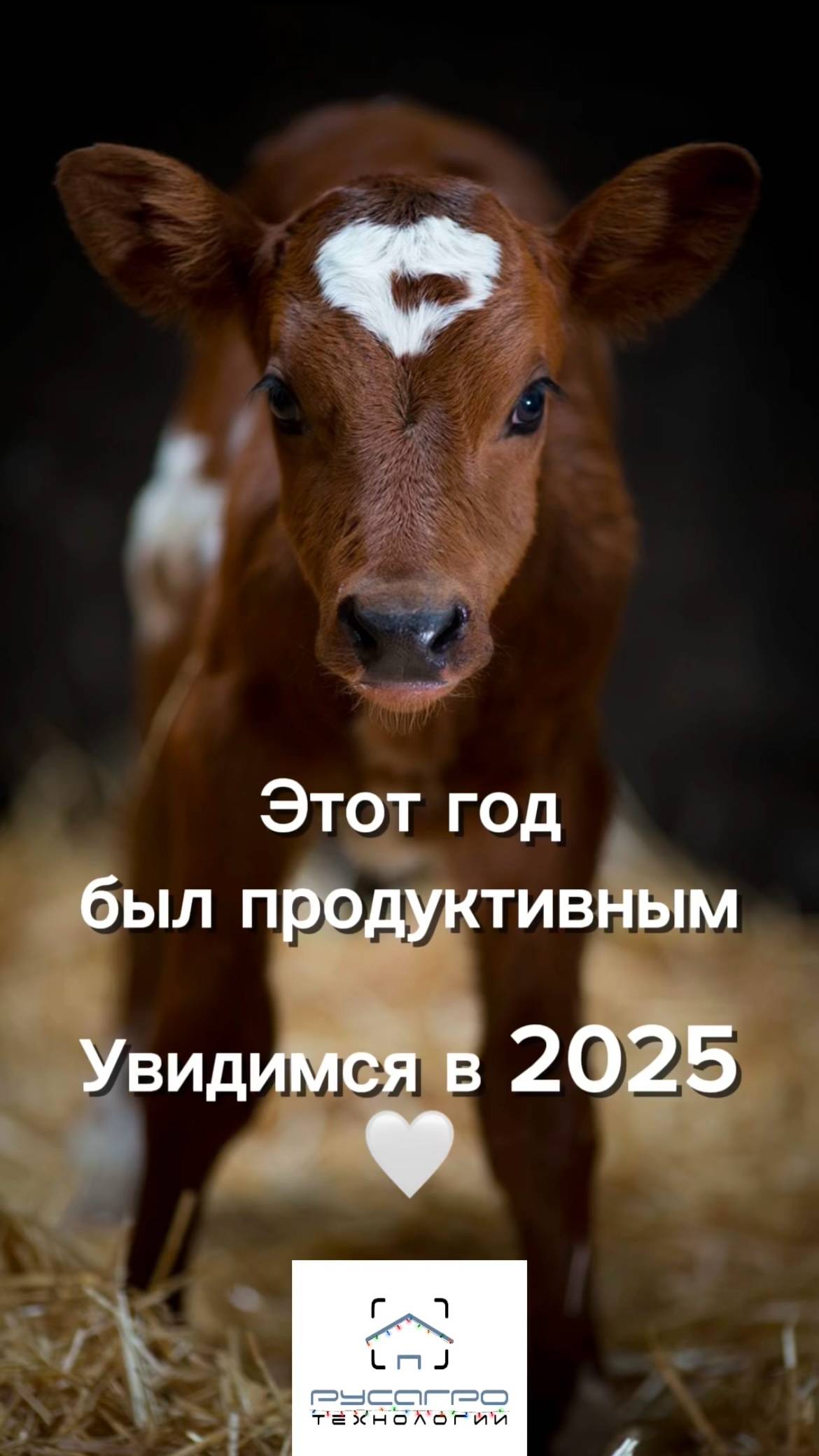 2024 год был очень продуктивным для нашей компании! 🐮 #Русагротехнологии #новыйгод #Итоги #тренды