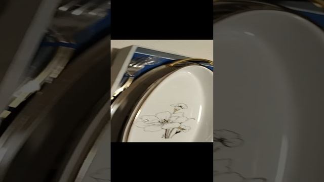 VID_20241227_201707.mp4