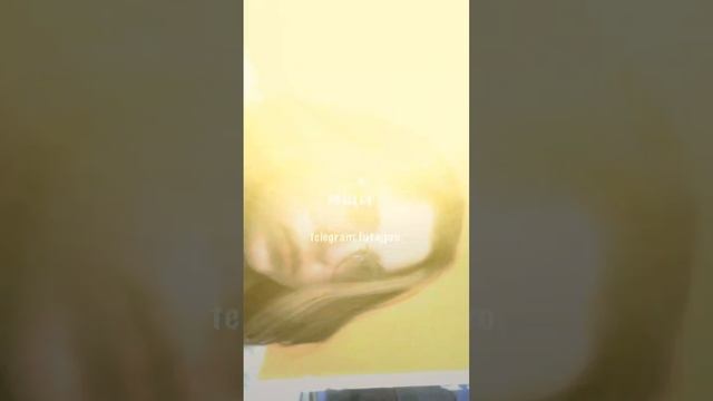 scene_output.mp4