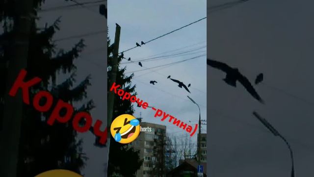 Не поёт не пляшет 🤣