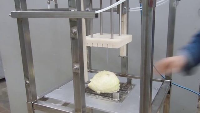 Резка капусты на квадраты ВОС 203 П