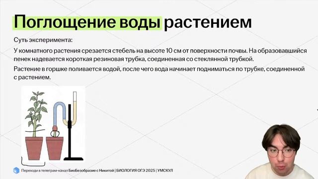 Эксперимент в ботанике | Теория для решения 23 задания | Умскул