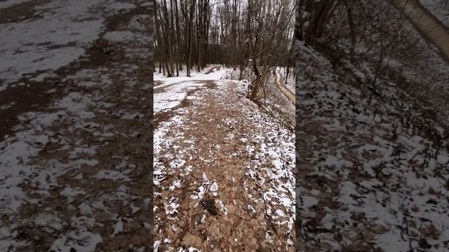 Не животные опасны, а люди #земнойирий #оважном