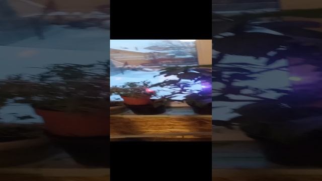VID_20241227_170538.mp4