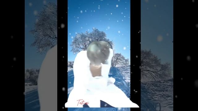Доброе утро с Пак Чимином