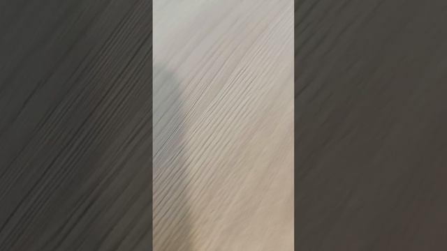 scene_output.mp4