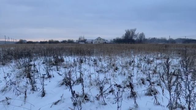 д. Силино