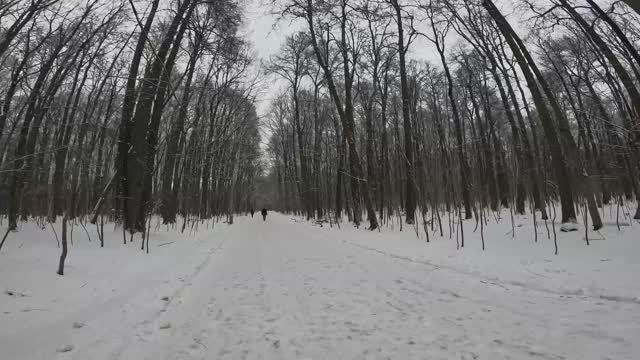 Зимняя пробежка. Москва, Измайловский парк, 25.12.2024