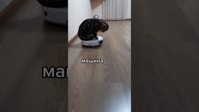 e15e2af55e604e7e8fa6967de7947592