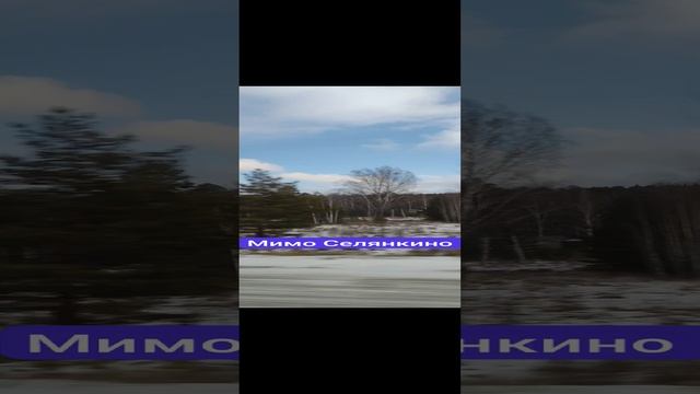 Мимо Селянкино