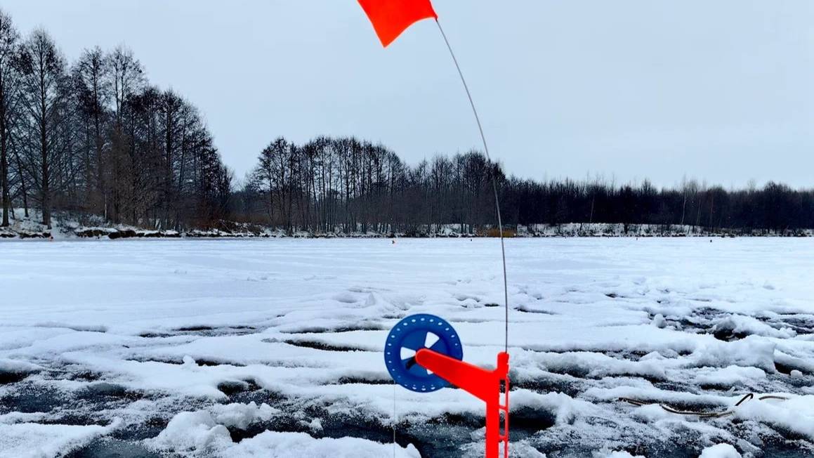 щедрый первый лёд 2024-2025 щука прёт на жерлицы