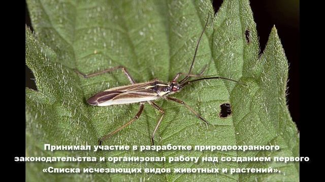 Жозе Кандиду де Мелу Карвалью