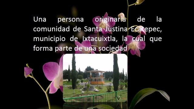 el paradigma humanista