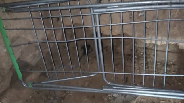 Поставил капкан на зверя, начал делать отвал.