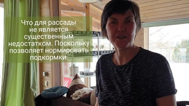 Рассада перца - просто. Без замачивания в кокосовый субстрат.