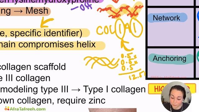 Collagen Structure, Mutations, and Wound Healing atf