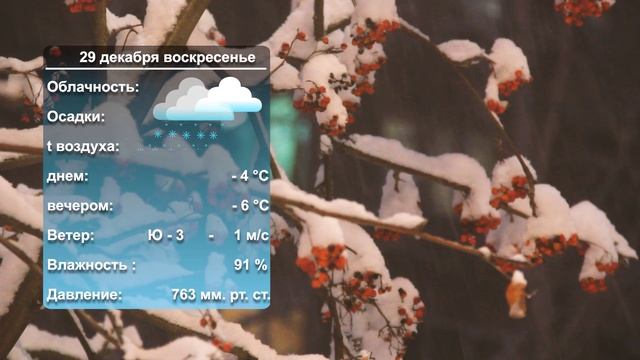 Погода на завтра_ 28_12_2024