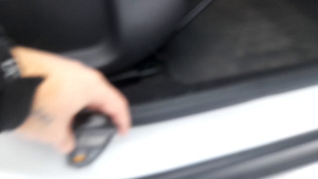 Проверка на окрас лада икс рей