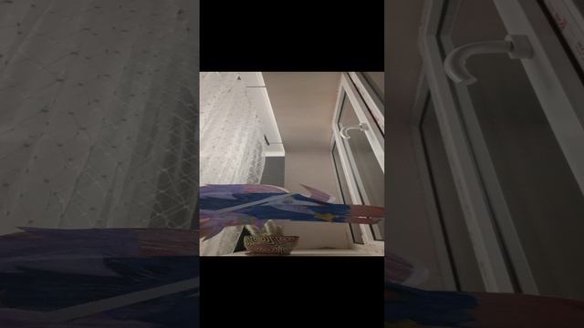 1000006916.mp4