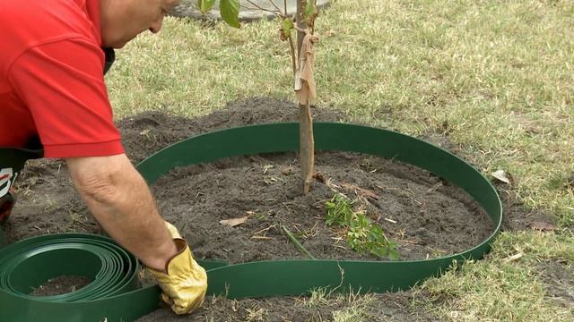 How To Install Garden Edging Around A Tree - DIY At Bunnings