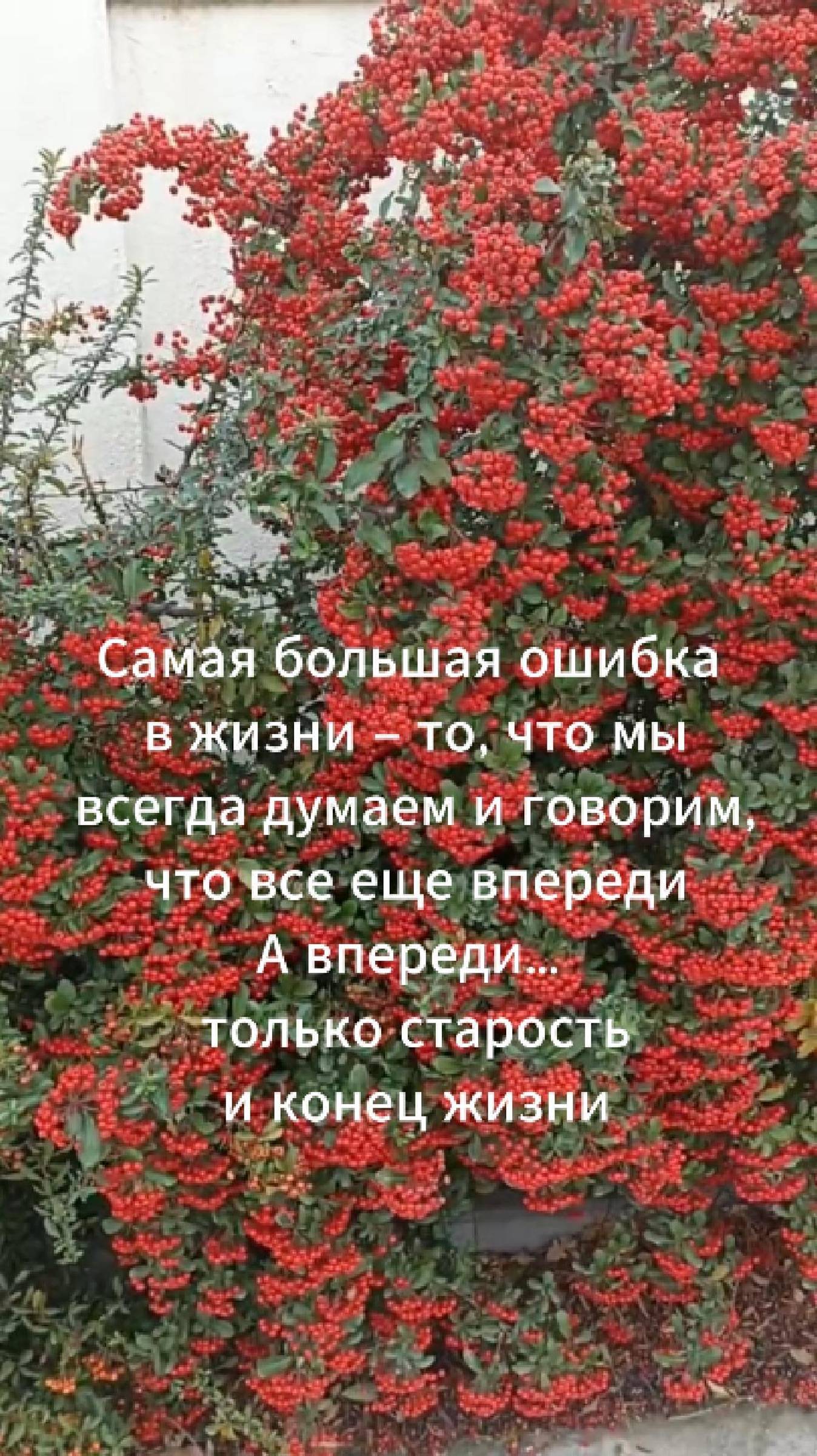 А впереди