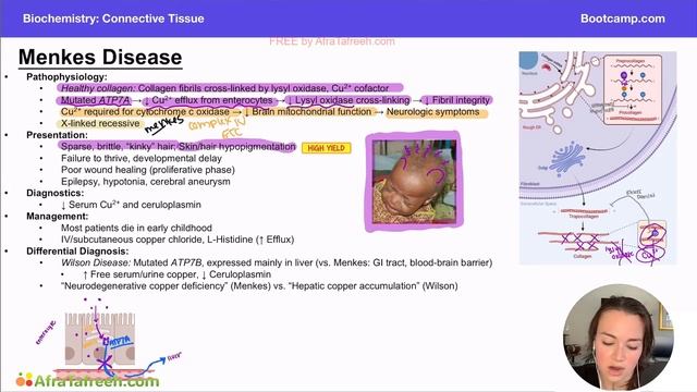 Menkes Disease atf