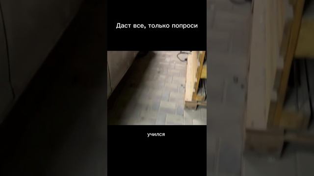 Даст все, только попроси #мотивация