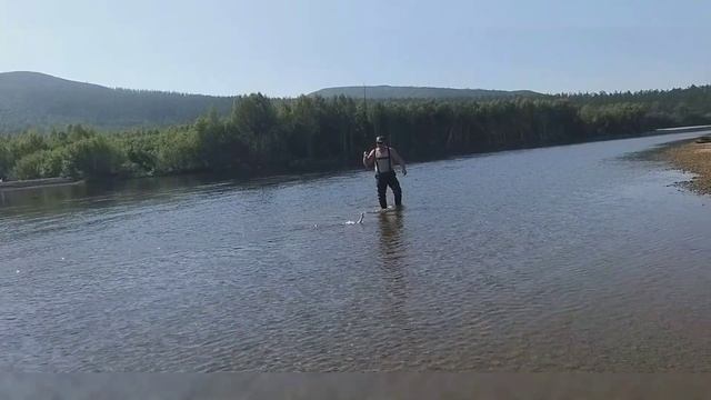 Video_20230818194617721_by_VideoShow.mp4