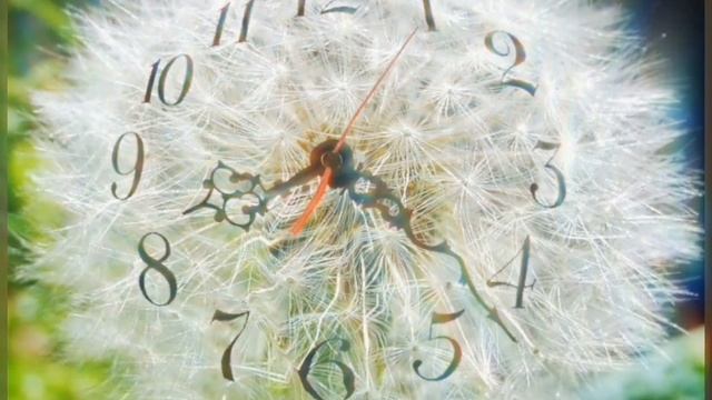 Не грусти-  исп. Анатолий Тукиш