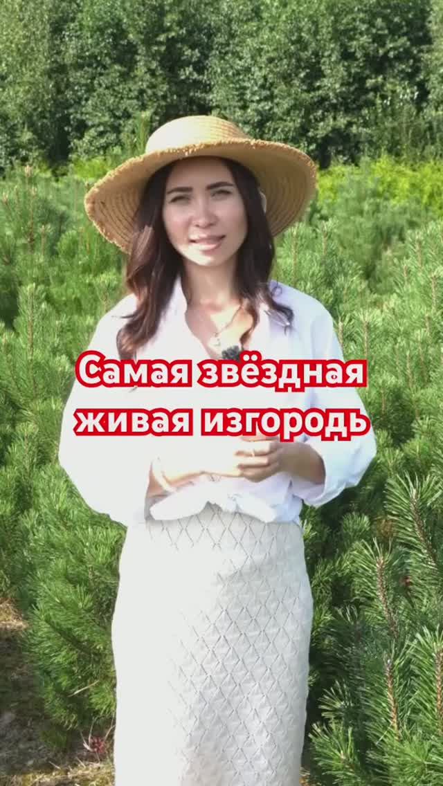 Звёзды выбирают ЖИВУЮ ИЗГОРОДЬ из ТУЙ (и вот почему)