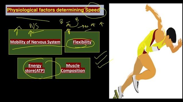 PE UNIT - 7 PHYSIOLOGY & INJURIES IN SPORTS CLASS 12 l 2022-2023 #physicaleducationclass12