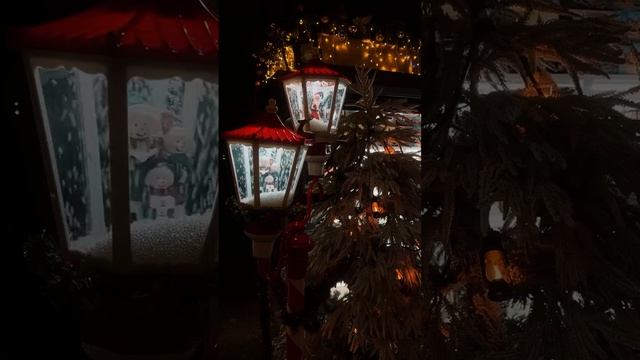 IMG_9165.MP4