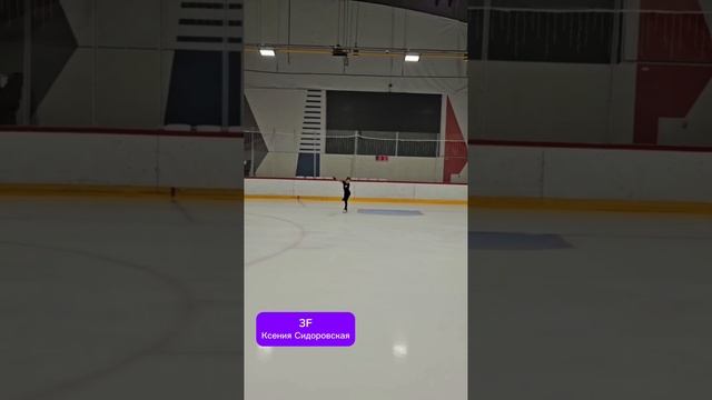 Ксения Сидоровская 2024.12.15