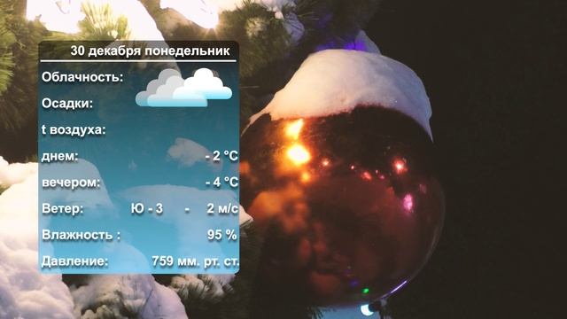 Погода на завтра_ 29_12_2024