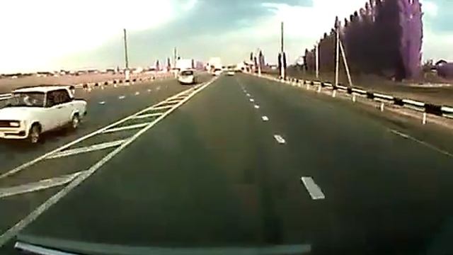 Бараны на дороге с 114