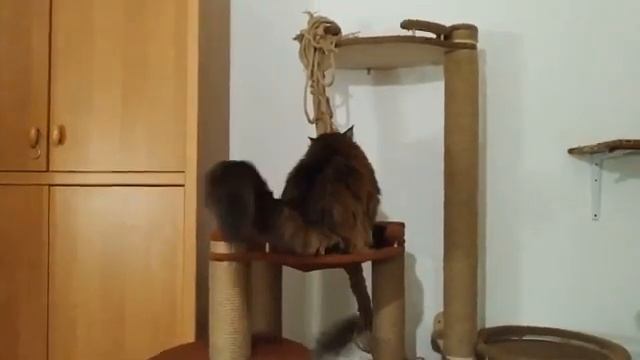 из жизни отдыхающих