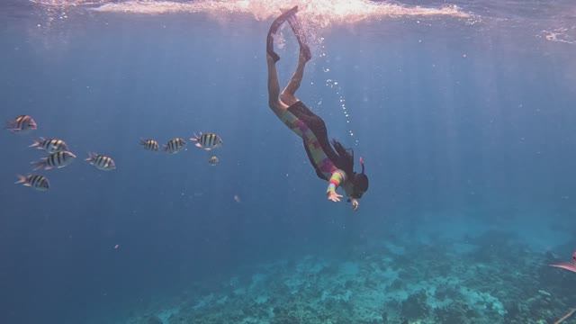 Обзор бухты Шаркс бей ( Shark's Bay) 4 серия. В море всегда все прекрасно!