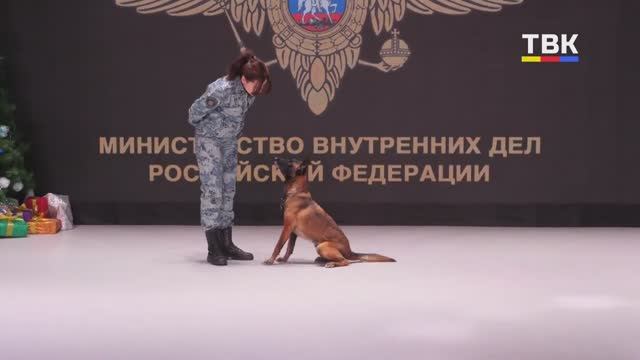 «День открытых дверей» для школьников Искитимского района