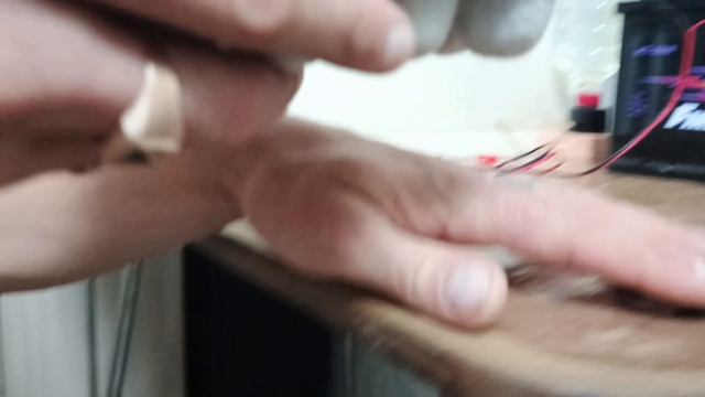 Закладка перепелиных яиц в инкубатор