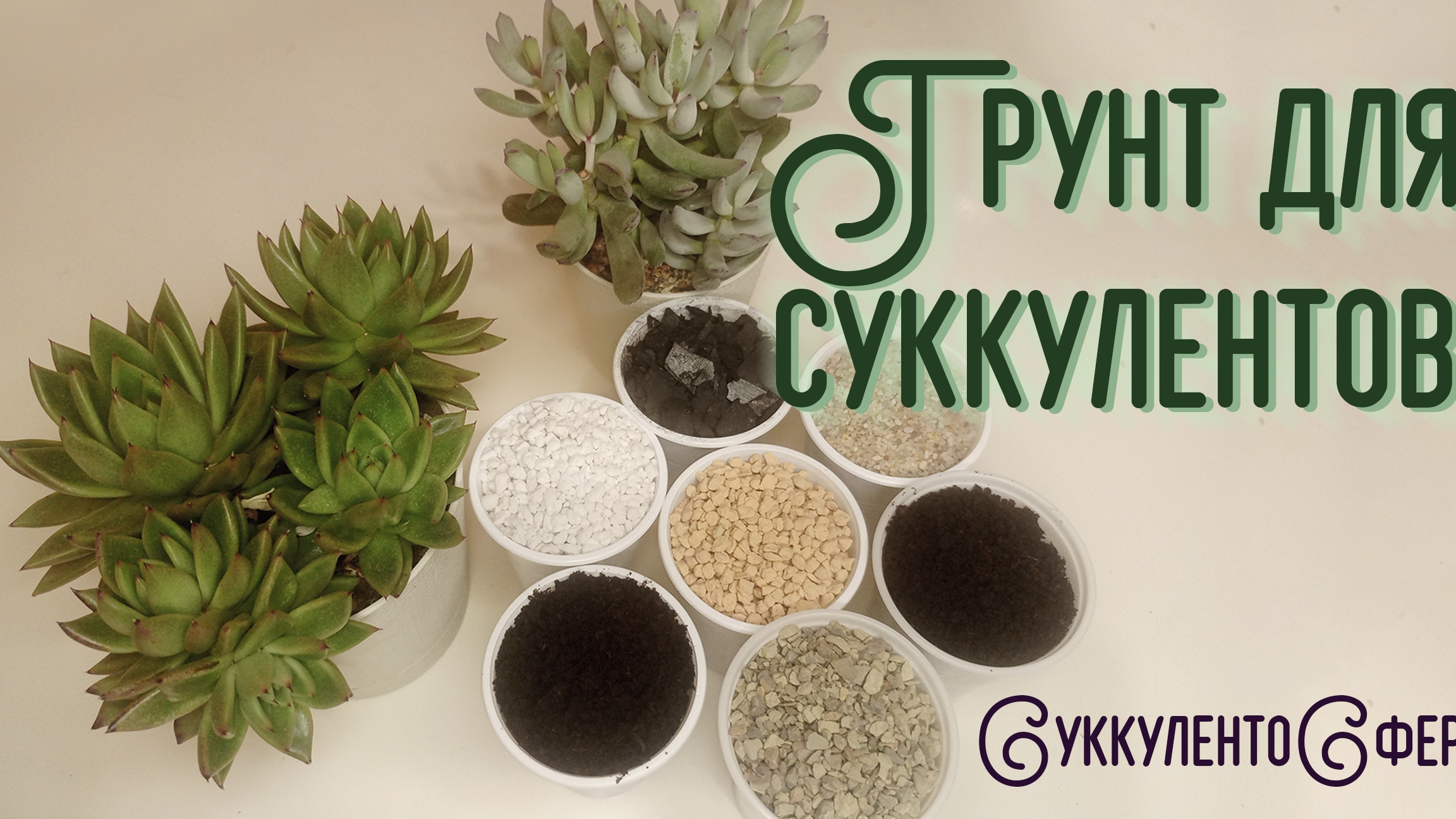 Грунт для суккулентов